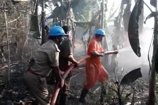 fire accident in banana crop at muktheshwaram east godavari district