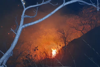 Fire in wooded area of Canary Mountains in Hazaribag