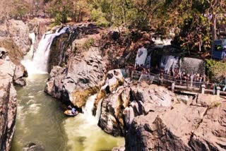 ஒகேனக்கல் காவிரி ஆற்றில் நீர் வரத்து குறைவு  ஒகேனக்கல்லில் நீர் வரத்து குறைவு  நீர் வரத்து  Hogenakkal River Water Level  Hogenakkal River Water Level Decreased  River Water Level  நீர் வரத்து