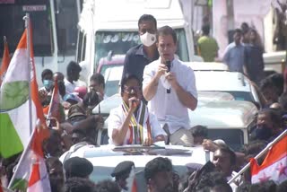 Rahul Gandhi on Tamilnadu cm