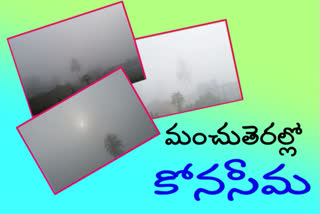 fog bueaties in konaseema at east godavari district