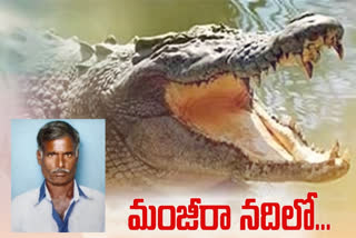 man died in crocodile attack