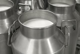 haryana khap panchayat milk rate