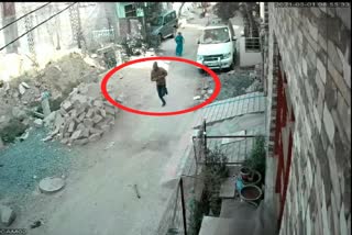 loot incident record in cctv