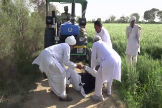 rohtak farmers destroyed crops