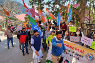 NSUI protest against suspension of Congress MLA in shimla