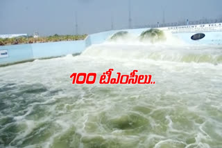 Kaleshwaram released 100 TMC of water