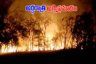 Forest fires raged once again in the Nallamala forest