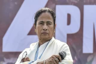 Pickup truck hit Mamta Banerjee's brothers car