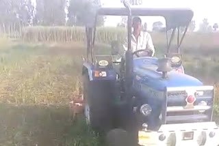 किसान ने खड़ी फसल पर चलाया ट्रैक्टर