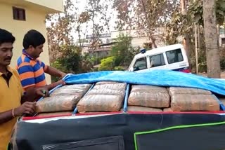 27 lakhs worth of cannabis seized at bhadradri kothagudem district