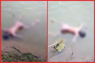 students  died at krishna river in guntur district