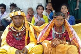 Baiga tribal society saved  Special tradition