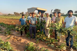 charkhi dadri farmer tractor crop