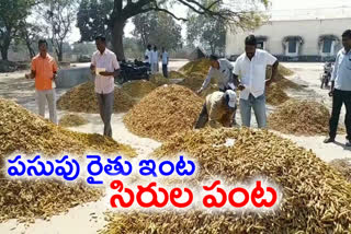 turmeic rates hiked dialy in markets farmers happy with tthis prices in metpally market in jagtial district