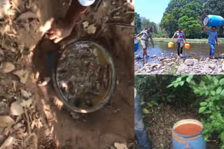 25 liters of liquor was seized from Attappadi Pottikkal village and the forest near Attappadi  25 liters liquor  Attappadi  Pottikkal village forest  അട്ടപ്പാടിയില്‍ നിന്ന് വീണ്ടും ചാരായം പിടികൂടി  അട്ടപ്പാടി  ചാരായം