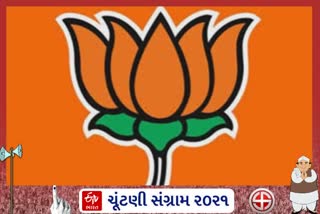 સર્વત્ર ભાજપનો ભગવો લહેરાયો