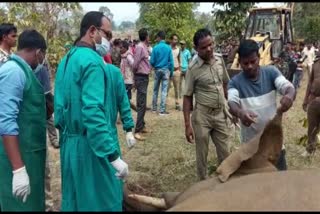 କାର୍ଯ୍ୟରେ ଅବହେଳା ଅଭିଯୋଗରେ ଫରେଷ୍ଟ ରେଞ୍ଜର ନିଲମ୍ବିତ