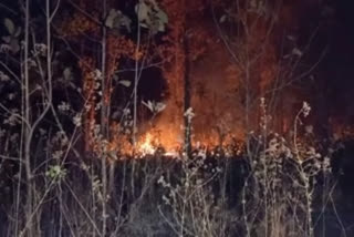 Union Minister directs officials to control fire in Odisha forests