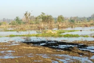 The canal in the nana sonela village was broken
