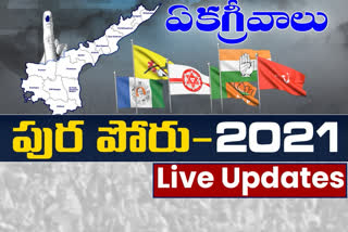 ap muncipal elections