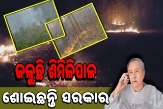 SHIMLIPAL SANCTUARY FIRE YET TO DOUSE IN MAYURBHANJ