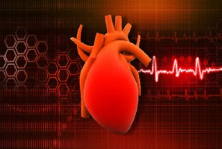 how-coronavirus-infection-interferes-with-heart-function-decoded