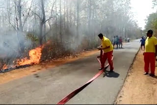 Shimlipal Sanctuary fire brought under control, CM Patnaik asks officials to take preventive steps  Shimlipal Sanctuary  fire brought under control  CM Patnaik  preventive steps  സിമിലിപാല്‍ വന്യജീവി സങ്കേതത്തിലെ തീ; ആശങ്ക അറിയിച്ച് കേന്ദ്രം  സിമിലിപാല്‍ വന്യജീവി സങ്കേതം  ആശങ്ക അറിയിച്ച് കേന്ദ്രം  സിമിലിപാൽ ടൈഗർ റിസർവ്  ധർമേന്ദ്ര പ്രധാൻ  നവീന്‍ പട്നായിക്  പ്രകാശ് ജാവദേക്കര്‍