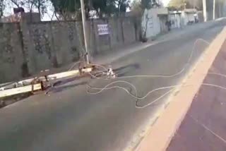 Jodhpur news, electrical poles fell