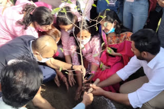 मिशन शक्ति के तहत आयोजित हुआ पौधारोपण का कार्यक्रम