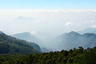 கோக்கர்ஸ் வாக் பகுதி