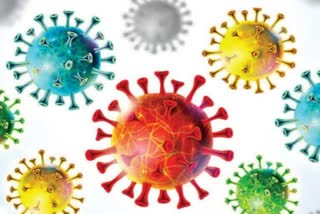 The total number of cases with UK, South Africa and Brazil variants of COVID virus in the country now at 242: center
