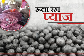 जयपुर की ताजा हिंदी खबरें,प्याज के बढ़े दाम,  Increased prices of onions