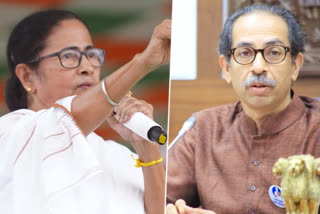 west bengal assembly election 2021_"Didi Vs All": Sena Says Won't Fight In Bengal, Will Back Mamata Banerjee