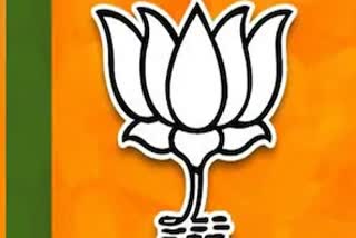 New bjp leaders wants bjp ticket