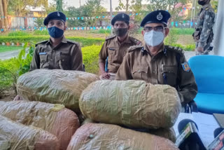 nine kilo illegal hemp recovered from car in simdega