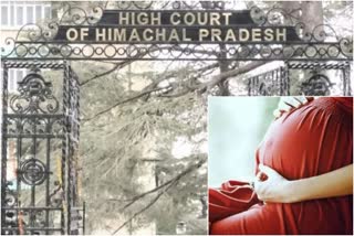 himachal-high-court