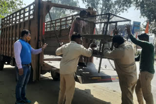 Seven meat kiosks removed from the banks of National Highway in Yamunanagar