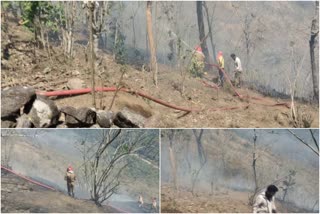 Wildfire on idukki Brucely Mount  Wildfire  ഇടുക്കി കൊന്നത്തടി ബ്രൂസിലി മൗണ്ടില്‍ കാട്ടുതീ  ഇടുക്കി  ഇടുക്കി വാർത്തകൾ  ഇടുക്കി കൊന്നത്തടി ബ്രൂസിലി മൗണ്ടില്‍ കാട്ടുതീ