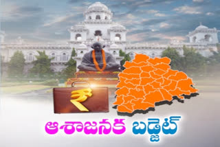 Budget estimation with revenue and expenditure in telangana