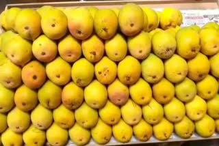 Alphonso mangoes