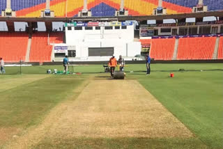 IND vs ENG, Ahmedabad, pitch, turf