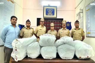 Thane police seizes over 44 kgs ganja