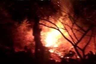 A fire broke out at Bellandur Lake