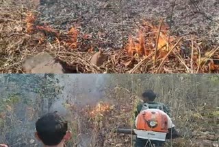 panic-in-village-due-to-forest-fire-in-pakur