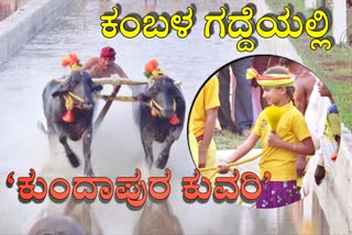 Girl played Kambala in Udupi news  ಕಂಬಳ ಗದ್ದೆಯಲ್ಲಿ ಕೋಣ ಓಡಿಸಿದ ಬಾಲಕಿ