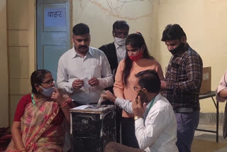 jodhpur news, High Court Advocate Association voting