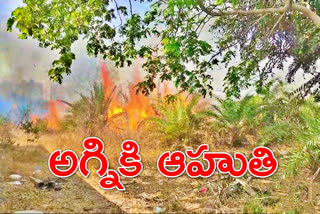 fire accident at keesara mandal, medchal district