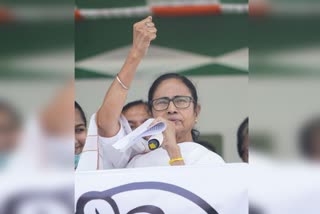 mamata