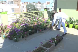 sirsa farmer roof nursery